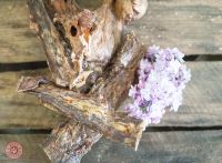 Vorschau: Rinderlunge luftgetrocknet 12-16cm Vorschau: Rinderlunge luftgetrocknet 12-16cm