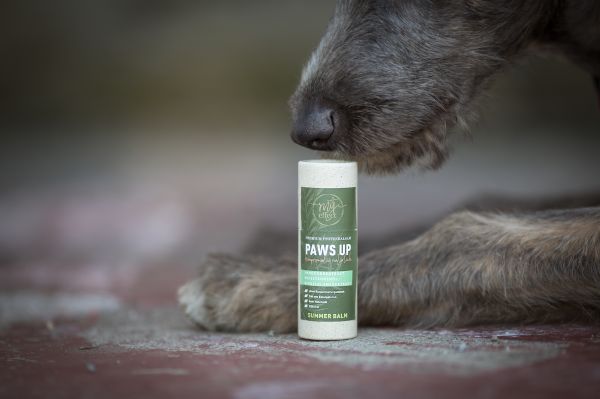 Paws Up Summer Balm 50ml